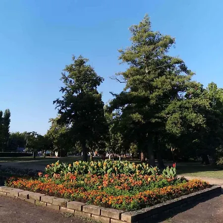 In - Balaton 19185 Apartment *